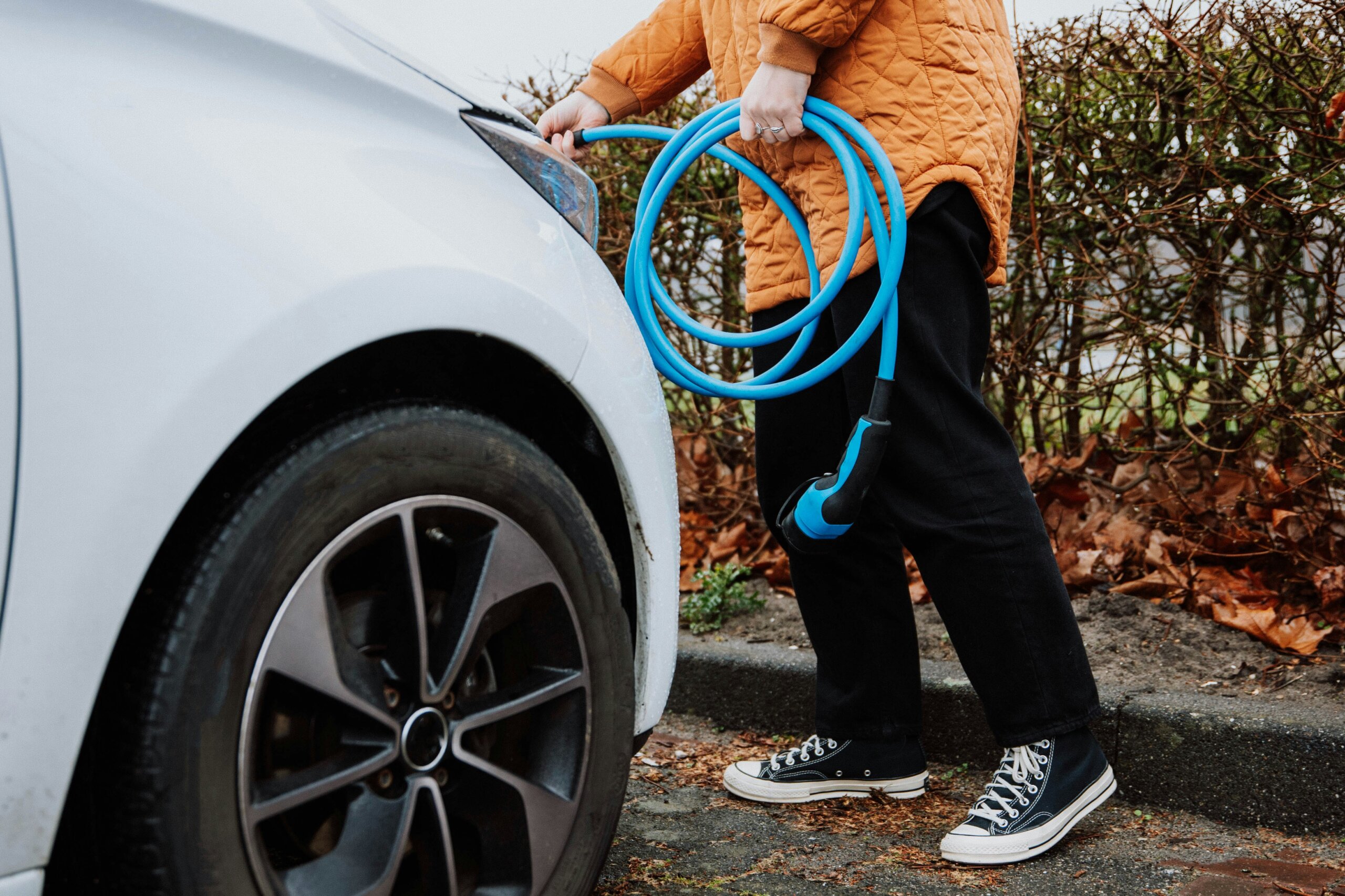 Einblicke in das Verbraucherverhalten Einführung von EV