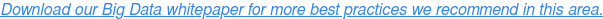 Transfira o nosso whitepaper sobre Big Data para obter mais práticas recomendadas nesta área.