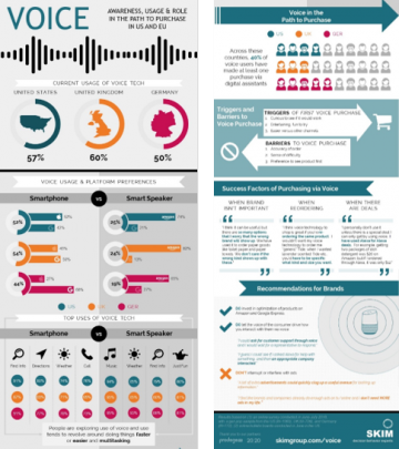 Voice-Infographic-