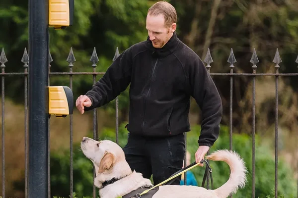Forecasting demand for Guide Dogs UK 15 years into the future