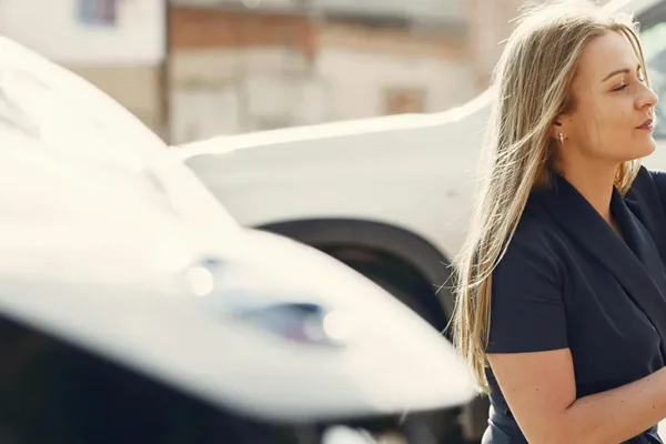 Webinar: The Early Majority – the next phase in the UK’s EV transition