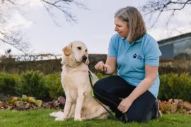 Quirk’s London: Forecasting demand for Guide Dogs 15 years into the future